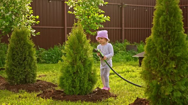 Happy little girl helping in the backyard, watering freshly planted thuja trees with a garden hose sprayer on a sunny summer day, contributing to family chores and learning gardening