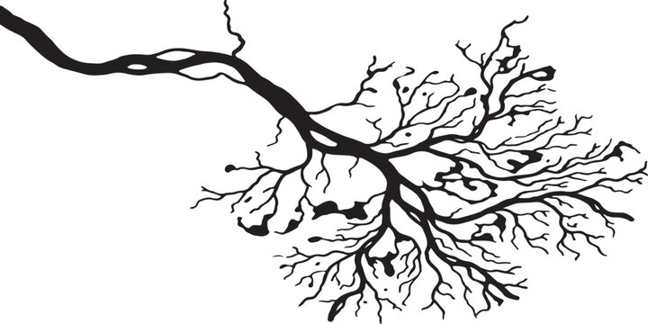 Organic fractal vein network, abstract black ink river delta spreading vector