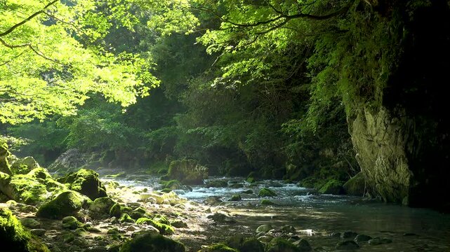 清流と川面