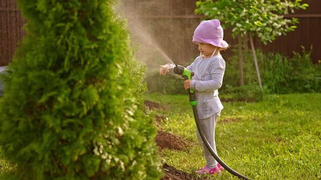 Little helper girl holding a garden hose with a sprayer and watering a thuja tree in the backyard on a sunny summer day, enjoying childhood activities and having fun outdoors
