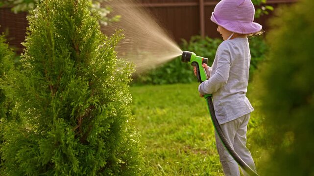 Happy young child helping in the garden by watering a small evergreen tree with a spray nozzle hose on a sunny summer day, enjoying a fun outdoor activity and learning about plant care