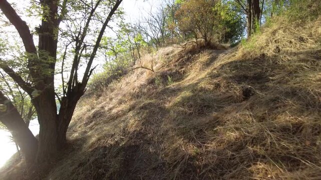 Photos of sunlit grassy hillside. Scenic landscape capturing warm sunlight and dry plants. Photographer ascending sundrenched slope with natural vegetation around
