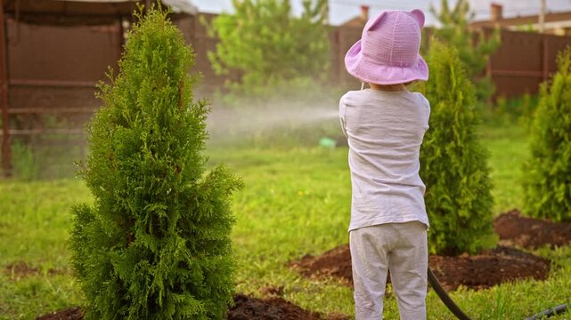 Diligent little girl helping in the garden by watering a freshly planted thuja tree with a garden hose sprayer. The child is learning about gardening and plant care in the backyard on a sunny day