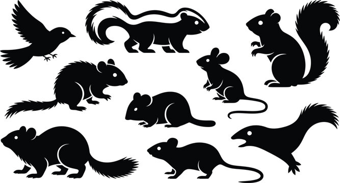 Wild Forest Animals and Rodents Silhouette Vector Icon Set
