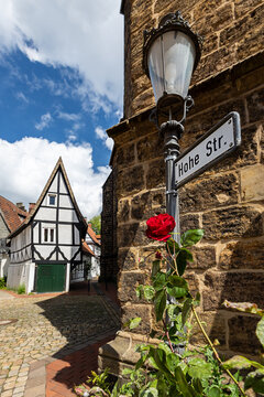 Rote Rose in der Altstadt