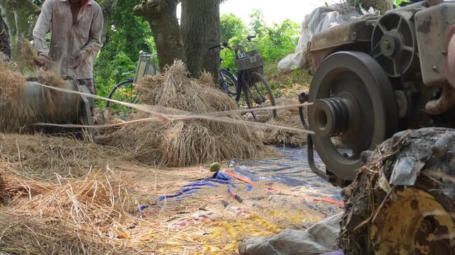 tractor operated thresher efficiently harvesting rice grains