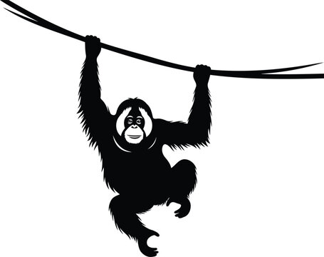 Black silhouette of a monkey hanging from a rope