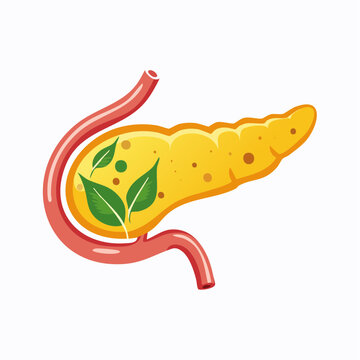 Illustration of a healthy pancreas with green leaves