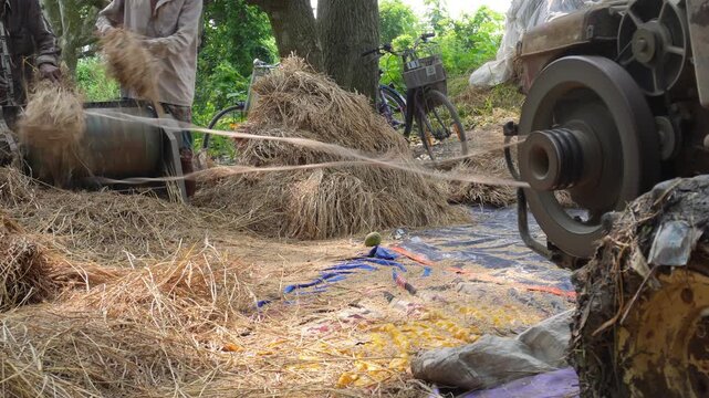 Mechanical rice thresher separating grains from straw efficiently