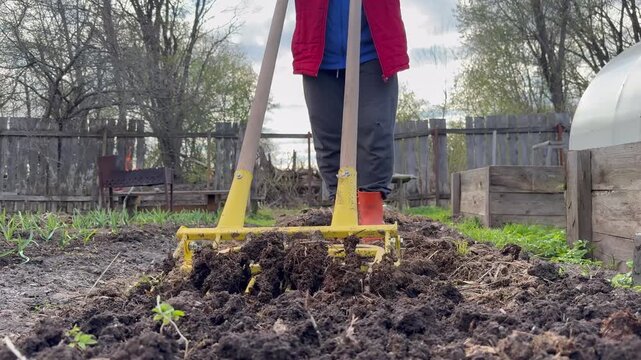 A close-up of a gardener in orange rubber boots using a manual garden fork (broadfork) or soil ripper to till the earth. 