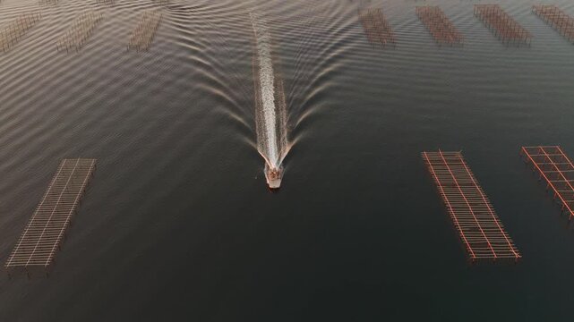 Oyster boat at sunrise on the Thau lagoon, Occitanie, France
