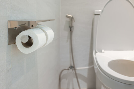 Close up toilet paper with holder and bumb gun in restroom.