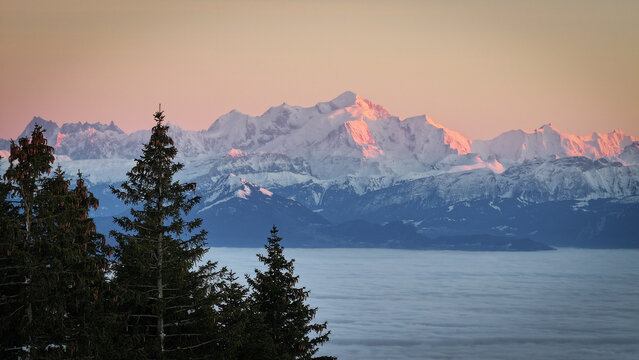 Aerial view of the Mont Blanc massif with snow-capped peaks glowing in pink sunset light above a sea of clouds and evergreen trees in Chamonix, Auvergne-Rhone-Alpes, France.