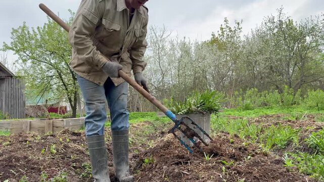A male gardener working in the vegetable garden, manually weeding and preparing the soil for spring planting. Blooming trees, a rural landscape, and a spring sky in the background.