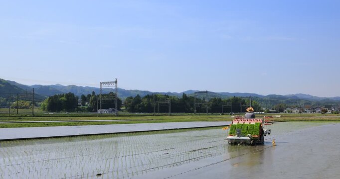 《RAW》 Rice Planting Scene in Rural Japan | 4K 4096 | Silent Footage
