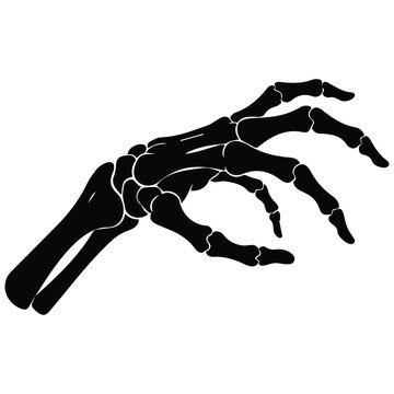 Anatomy skeleton hand bones isolated vector silhouette illustration line art graphic.