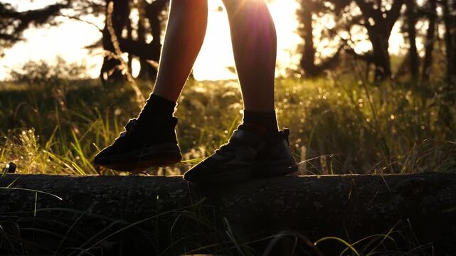 Close-up of feet walking on fallen tree log in forest at sunset. Person balancing on wood during golden hour. Outdoor activity, focus, stability and mindful lifestyle concept. Health and fitness.