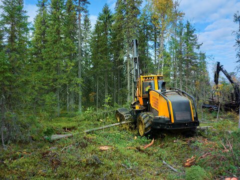 Timber harvesting in a forest with machinery operating in a clear-cut area captured from above