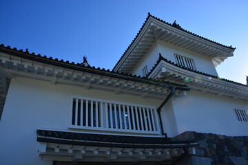 Fototapeta premium 富山県 富山城（富山城公園～郷土博物館）