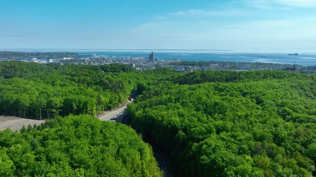 Cinematic aerial shot of a dense green forest with a winding road leading towards the coastal city of Gdynia and the blue horizon of the Baltic Sea.
