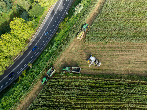 Aerial view of tractors harvesting crops at the Gorreana Tea Plantation next to a winding road with cars in Maia, Acores, Portugal.