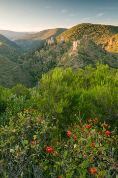 Ancient castle ruins set amidst lush hills offer an inspiring travel and nature exploration destination during golden hour sunset at Four Lastours castle, Languedoc-Roussillon, France.