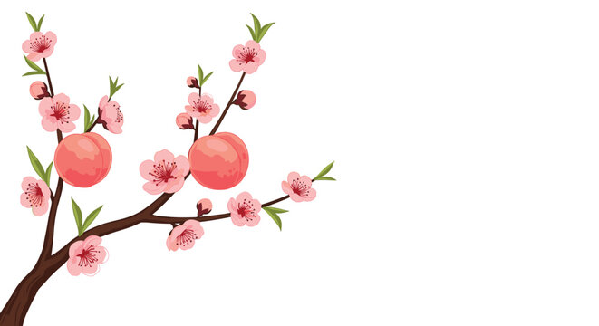 Peach tree branch featuring bright pink blossoms and two large ripe peaches depicted in a colorful and detailed botanical style.