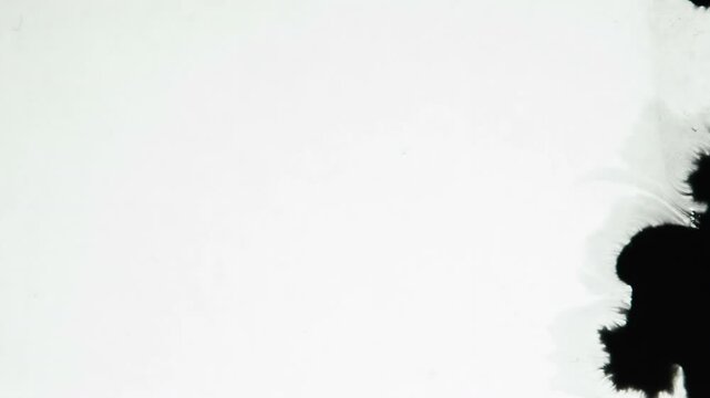 White Disappears Under a Black. Streaks of black paint gradually closed white screen. Excellent for inter-frame transition