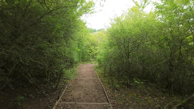 Crown Lakes Country Park, Peterborough, England, UK.
Point of view walking gimbal stable footage walking down woodland stairs into the depths of the forest and towards a boardwalk in spring.
Down the 