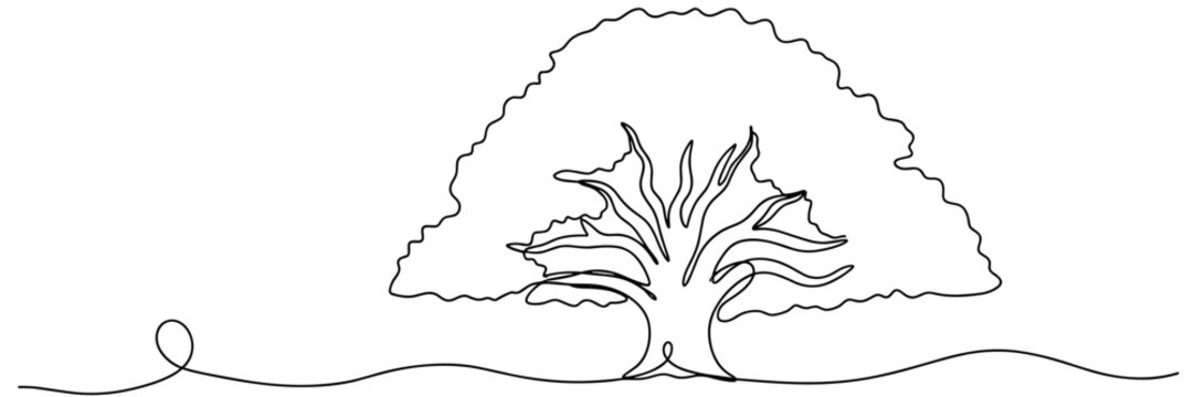 Large tree with spreading canopy on continuous line landscape, none editable strokes
