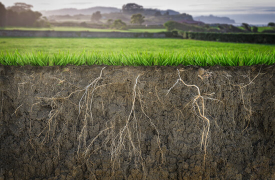soil cross, grass with roots and green field on background