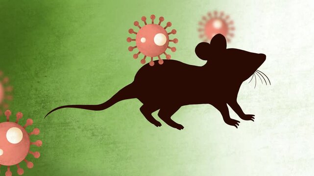 A silhouette of a mouse runs from hanta or rodent virus particles in a green environment