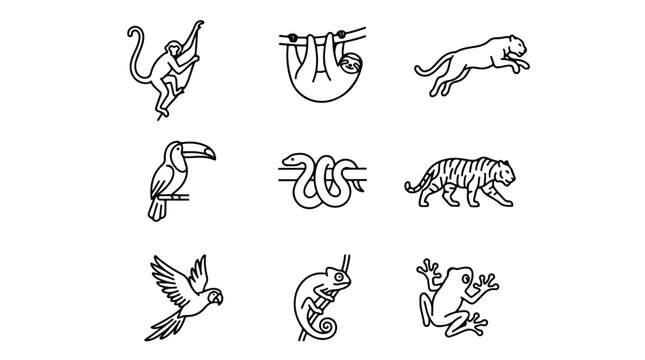 Minimalist jungle animal line icons, set of 9 tropical wildlife vector illustrations, black outline exotic zoo animals and rainforest creatures on white background