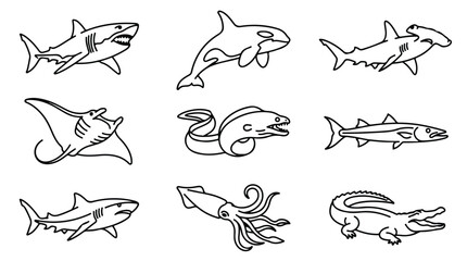 Minimalist sea creatures line art collection, 9 marine animal icons in black outline, shark and whale vector set for educational coloring © Saad