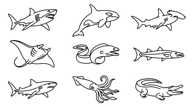 Minimalist sea creatures line art collection, 9 marine animal icons in black outline, shark and whale vector set for educational coloring