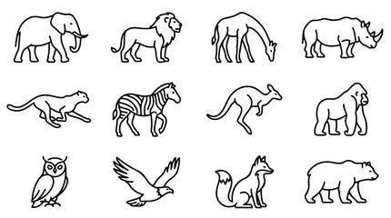 Minimalist wild animal line icons, set of 12 black outline zoo animal vectors, modern wildlife silhouettes for educational branding and logo design © Saad