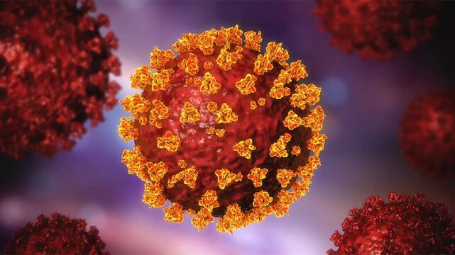 SARS-CoV-2 virus particles shown in 3D animation, spherical virions with surface spike proteins causing COVID-19, a respiratory infectious disease affecting humans.