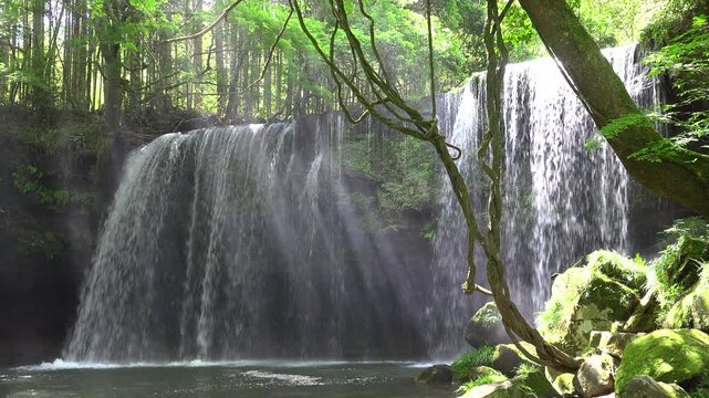 鍋ヶ滝　木漏れ日と光芒
