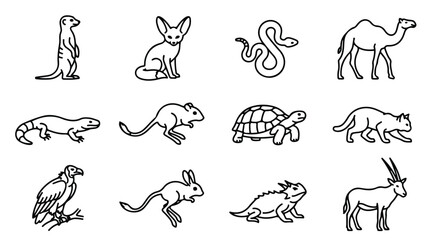 Desert animal line icon set, minimalist wild fauna vector collection, 12 black and white outline illustrations of safari and arid wildlife © Saad