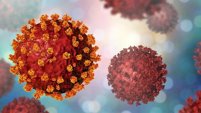 SARS-CoV-2 virus particles shown in 3D animation, spherical virions with surface spike proteins causing COVID-19, a respiratory infectious disease affecting humans.