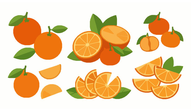 Trendy Flat Citrus Fruit Vector Set with Whole Orange Slice Tangerine and Leaves