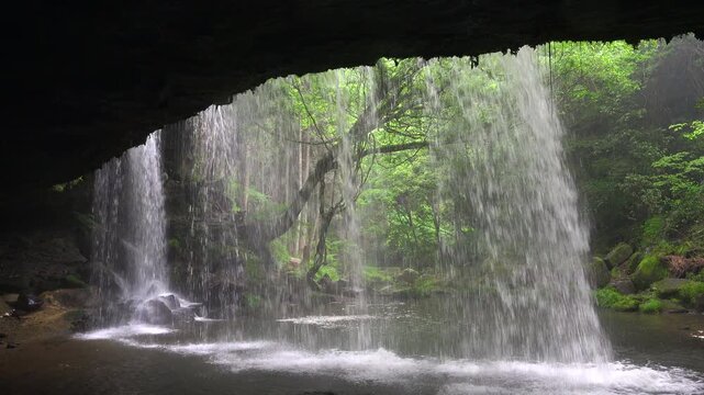鍋ヶ滝　滝の裏に回り水のカーテンを見る