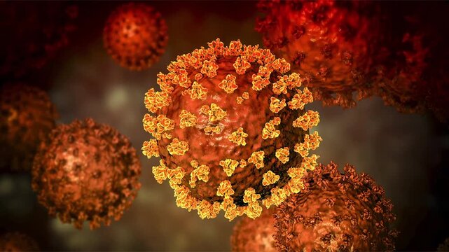 SARS-CoV-2 virus particles shown in 3D animation, spherical virions with surface spike proteins causing COVID-19, a respiratory infectious disease affecting humans.