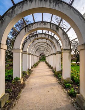 Abandoned garden walkway with arches.