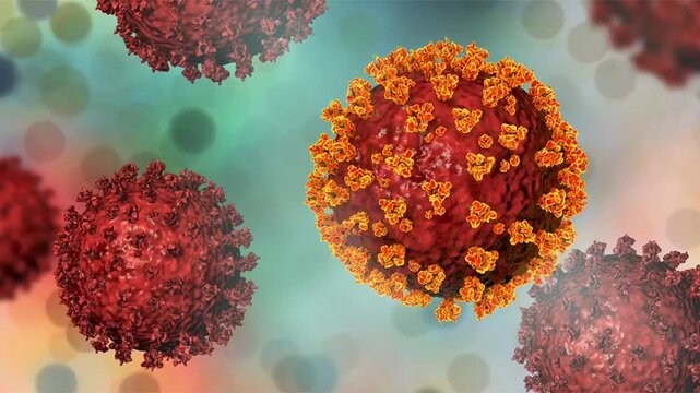 SARS-CoV-2 virus particles shown in 3D animation, spherical virions with surface spike proteins causing COVID-19, a respiratory infectious disease affecting humans.