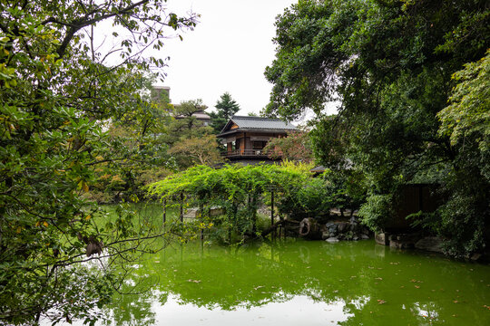 Traditional Japanese garden with pond and wooden house surrounded by trees in serene imperial setting, Kyoto, Japan 