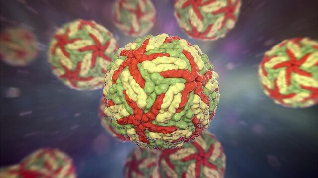 Dengue virus particles shown in 3D animation, enveloped RNA virions causing dengue fever, a mosquito-borne infectious disease affecting humans in tropical regions.