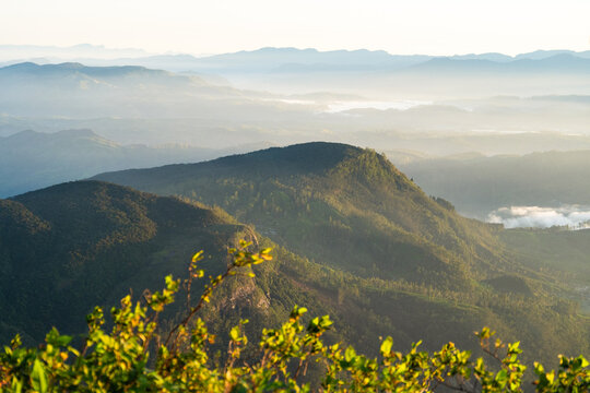 View of Adam's Peak rising above misty mountain ranges and lush green forests under the soft morning light Ratnapura, Sabaragamuwa Province, Sri Lanka.