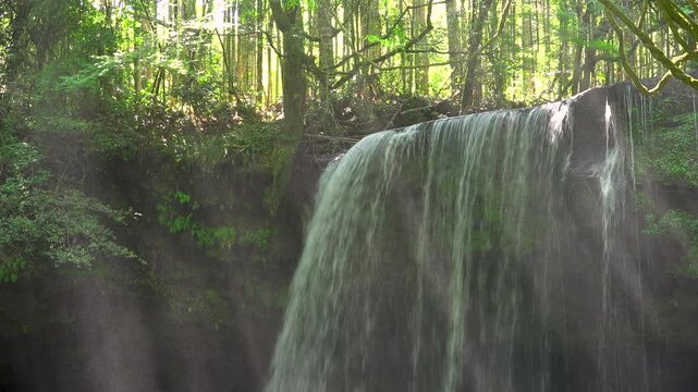 鍋ヶ滝の木漏れ日と光芒