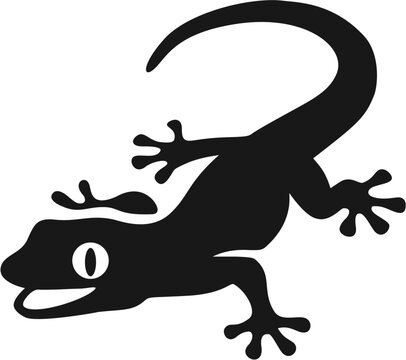Gecko lizard icon